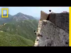 Video: Repairing the Great Wall of China is a Dangerous Job | National Geographic
